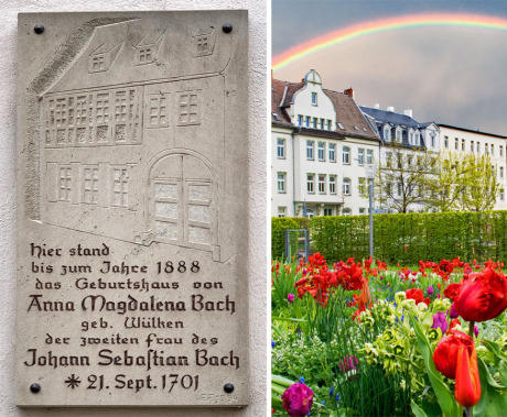 Links eine graue Steintafel mit dem Hinweis, dass dort einst das Geburtshaus der Anna Magdalena stand. Die rechte Bildhälfte zeigt einen Straßenzug hinter einem bunten blühenden Blumenbeet in Zeitz. Über drei Häusern ist ein Regenbogen.