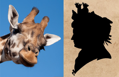 Das querformatige Bild ist in zwei Hochformate aufgeteilt: Links sieht man den Kopf einer Giraffe vor blauem Himmel, die den Betrachter anschaut. Rechts ist ein Schattenriss einer Frau vor unserer Zeit..